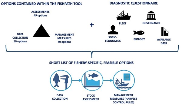 Conceptual diagram of the FishPath Tool, showing the elements of the diagnostic questionnaire for the three harvest strategy components – Data collection, assessment, and management measures. Credit: Dowling et al. 2023 and https://fishpath.org/