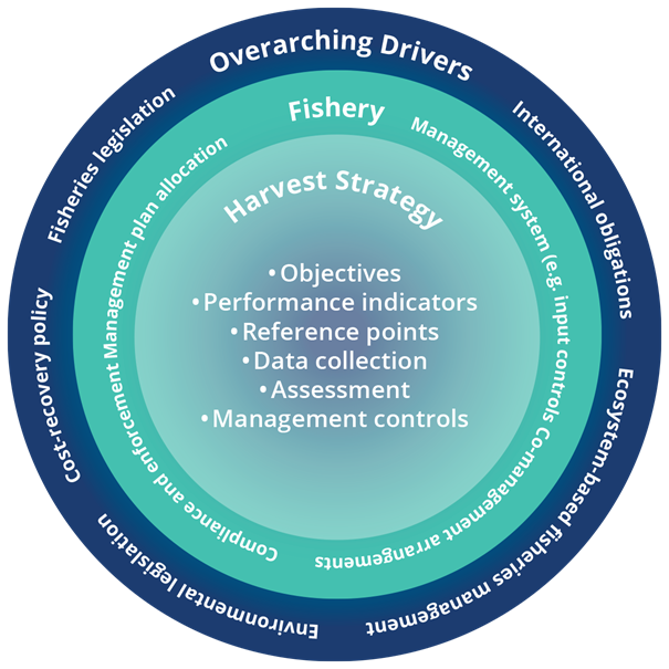 Harvest Strategy circle