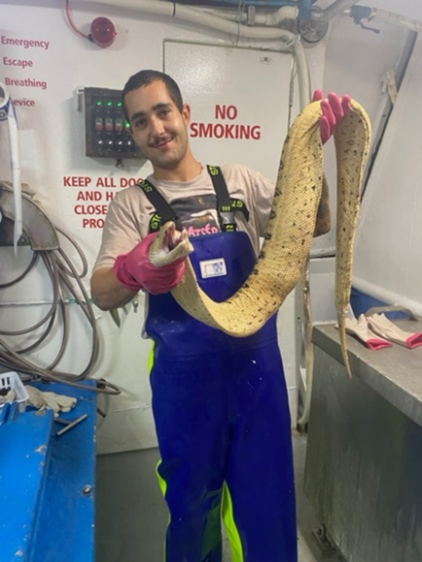 James Franklin carefully handling a sea snake aboard the FV Point Cloates