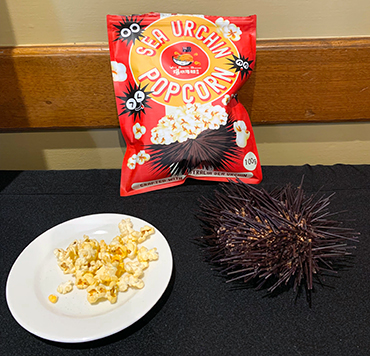 Photo of Sea Urchin popcorn
