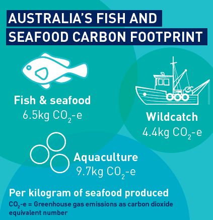 Infographic of Australia's fish and seafood carbon footprint