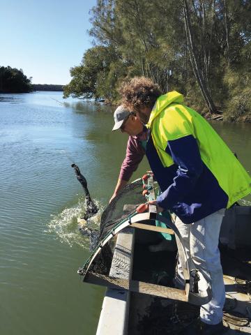 Researchers use a sampling sled to capture prawns