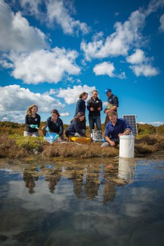 Photo of researchers from Deakin University's Blue Carbon Lab