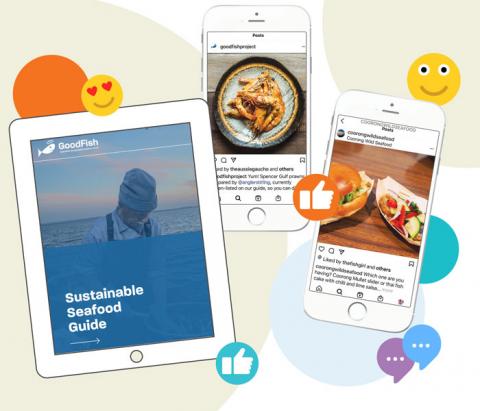 Graphic of iPad and phones showing apps and Instagram photos on screen, all with seafood