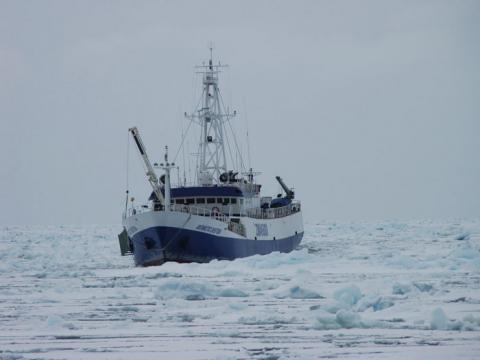 Australian Longline’s Antarctic Chiefton has been caught in port at Mauritius without its full crew
