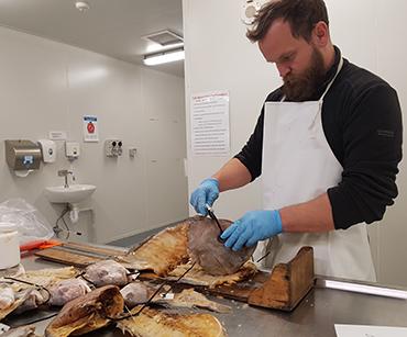 Dr Barrett Wolfe of IMAS processing fish frames. Photo: IMAS, Univesity of Tasmania