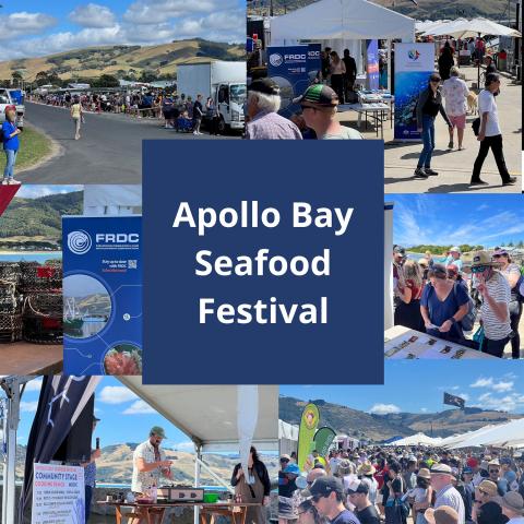 Apollo Bay  Seafood Festival 2023 photo montage