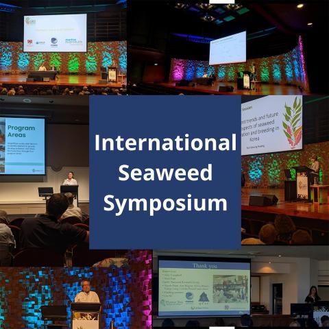 International Seaweed Symposium (ISS) 2023 photo montage