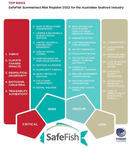  SafeFish Risk Register