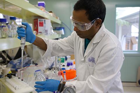Chowdhury Sarowar at the Sydney Institute of Marine Science biotoxin facility prepares Spanish Mackerel samples supplied by recreational and commercial fishers to test for ciguatera toxins. Photo: SIMS